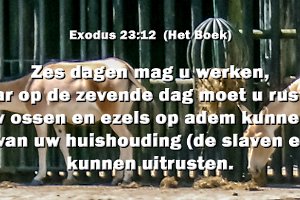 Exod2312-Boek