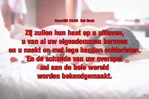 Eze 2329-Boek