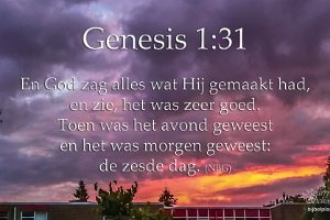 Gen 0131 NBG : Avondrood, Beverwaard, Fotograaf, NL, Rhijnauwensingel, Rotterdam, Websites, hs.fotografie@gmail.com, http://beverwaardinbeeld.nl, http://hs-fotografie.nl, http://hs-modellenfotografie.nl, http://hs-natuurfotografie.nl, http://hs-stedenfotografie.nl, http://rotterdamsebeelden.nl, © Harry Schoemaker