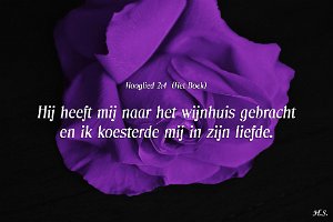 Hgld0204-Boek