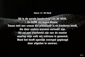 Hos 0102-Boek