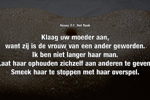 Hos 0201-Boek