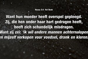 Hos 0204-Boek