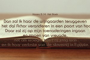 Hos 0214-Boek