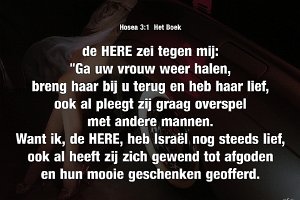 Hos 0301-Boek