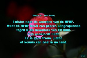 Hos 0401-Boek-01