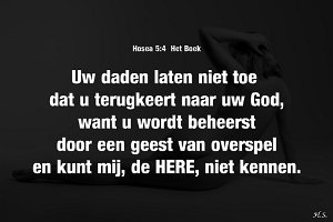 Hos 0504-Boek