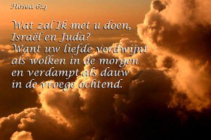 Hos 0604-Boek