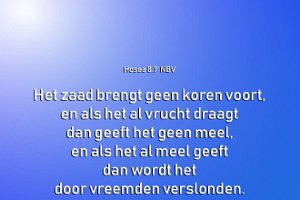 Hos 0807-NBV-02