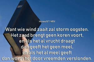 Hos 0807-NBV