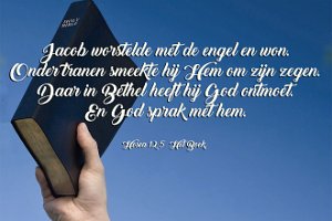 Hos 1205-Boek