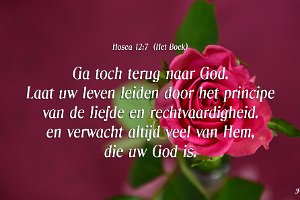 Hos 1207-Boek