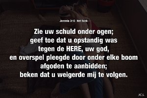 Jer 0313-Boek