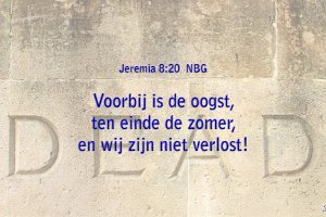 Jer 0820-NBG