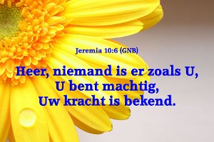 Jer 1006-GNB