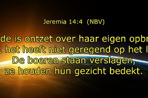 Jer 1404-NBV