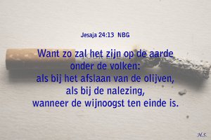 Jes 2413-NBG