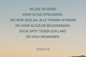 Jes 2508-Ned