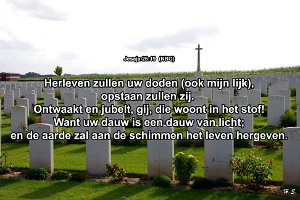 Jes 2619-NBG