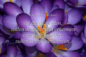 Jes 2924-Boek