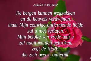 Jes 5410-Boek-01