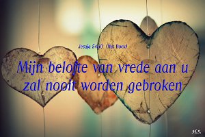 Jes 5410-Boek-03