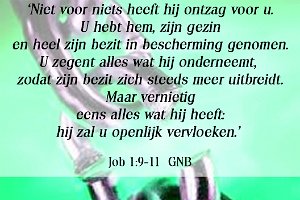 Job 0110-GNB