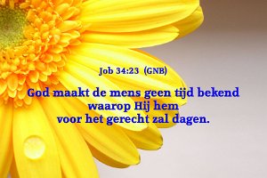Job 3423-GNB