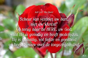 Joel0213-Boek