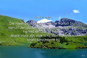 Joel0316-GNB