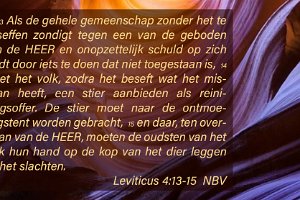 Lev 0414-NBV