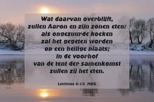 Lev 0616-NBG