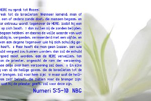 Num 0505-NBG