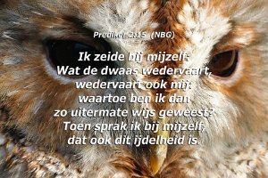 Pred0215-NBG