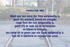 Pred0226-NBG