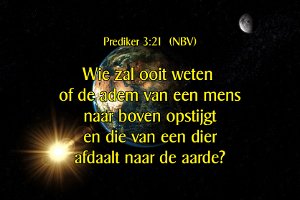 Pred0321-NBV-01