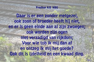 Pred0408-NBG