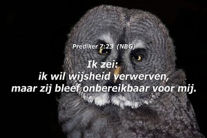 Pred0723-NBG