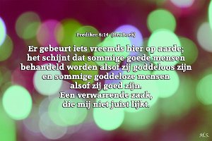 Pred0814-Boek