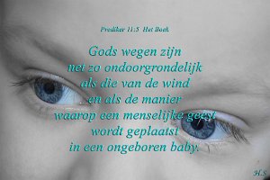 Pred1105-Boek