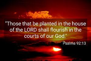 Ps092013-KJV