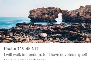 Ps119045-NLT