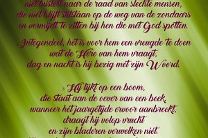 Ps001002-Boek