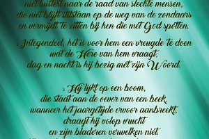 Ps001004-Boek