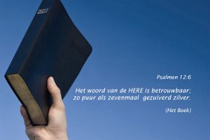 Ps012006-Boek-a