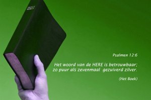 Ps012006-Boek-f