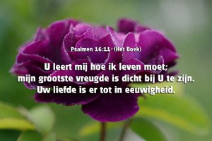 Ps016011-Boek