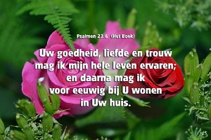 Ps023006-Boek