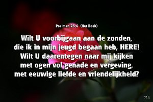 Ps025006-Boek