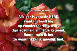 Ps031021-Boek